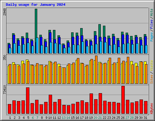 Daily usage for January 2024