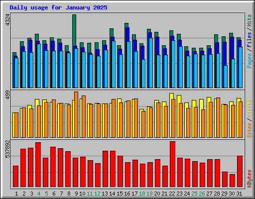 Daily usage for January 2025