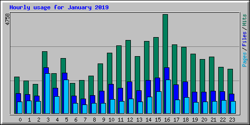 Hourly usage for January 2019