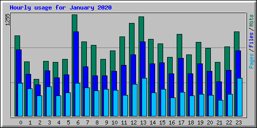 Hourly usage for January 2020