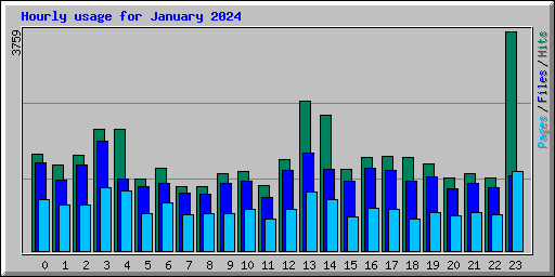 Hourly usage for January 2024