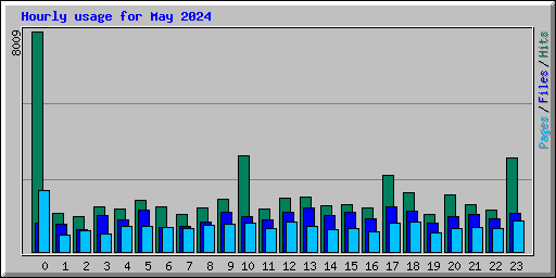 Hourly usage for May 2024