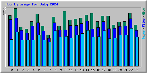 Hourly usage for July 2024