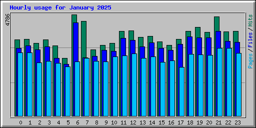 Hourly usage for January 2025