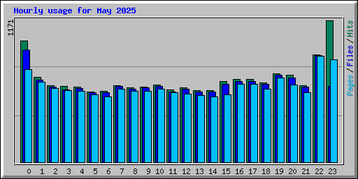 Hourly usage for May 2025