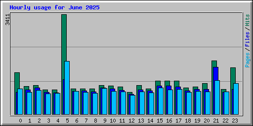 Hourly usage for June 2025