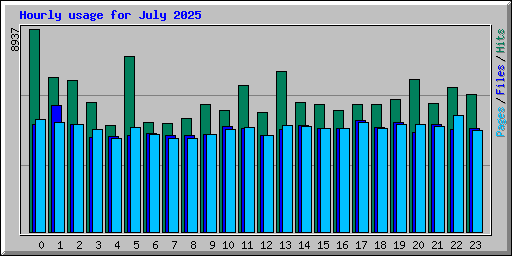 Hourly usage for July 2025