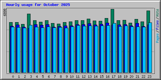 Hourly usage for October 2025
