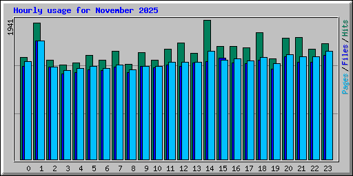 Hourly usage for November 2025
