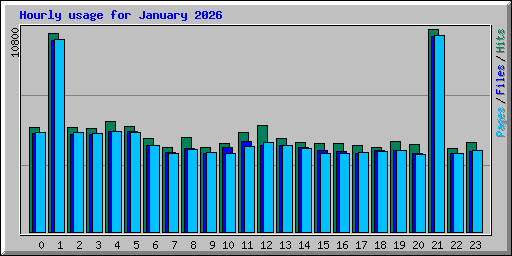 Hourly usage for January 2026