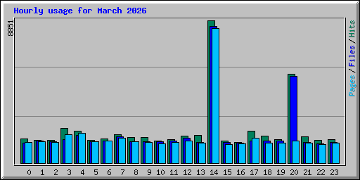Hourly usage for March 2026