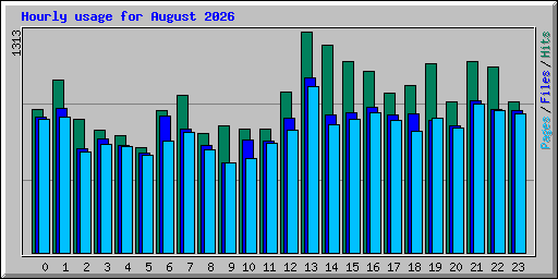 Hourly usage for August 2026